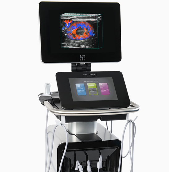 VISUALSONICS Vevo F2