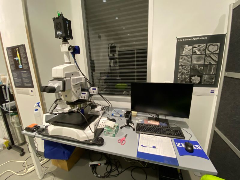 ZEISS AxioZoom